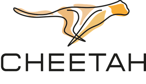 Cheetah Websites